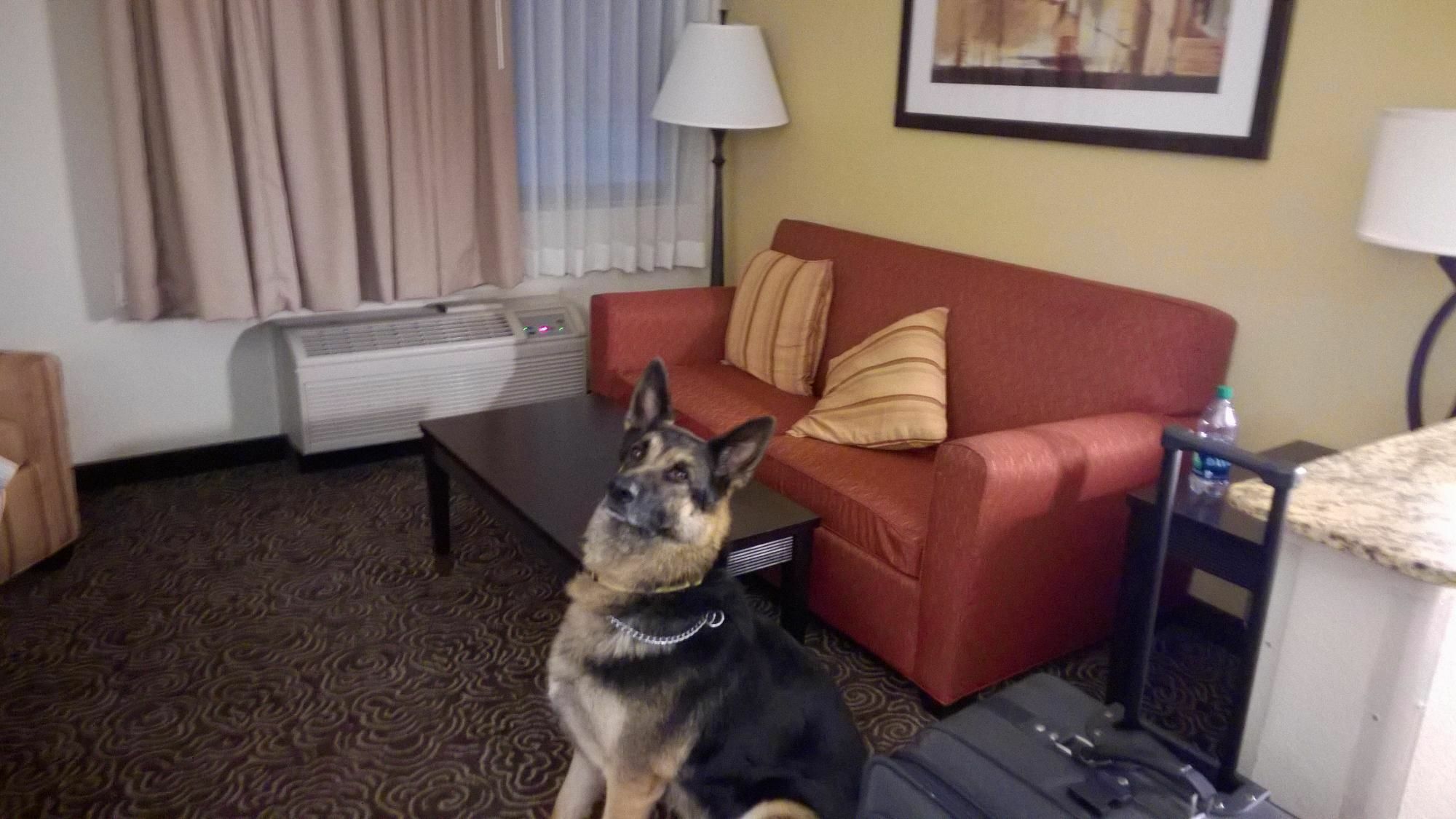 Hotel Western 3*